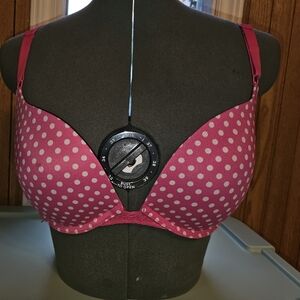 Maidenform 34D push up